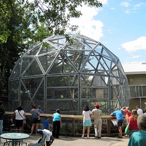 Tiger Trail-Bornean Orangutan Exhibit