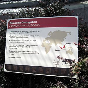 Tiger Trail-Signage
