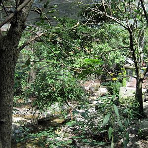 Australia-Woodland Aviary