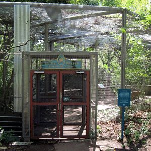 Australia-Tree Kangaroo Exhibit