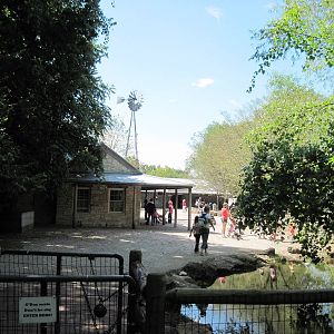 Australia-Sheep Farm