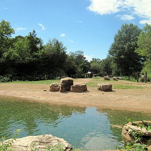 Africa-African Elephant Exhibit
