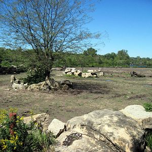 Africa-Black Rhinoceros Exhibit