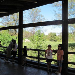 Africa-Lion Viewing Shelter