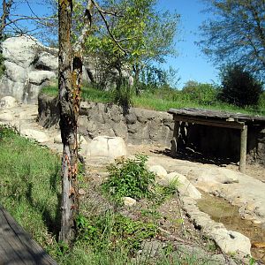 Africa-Warthog Exhibit