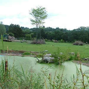 African Paddock at Opel-Zoo Kronberg, 30/08/10