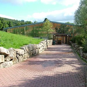 Giraffe House Approach at Opel-Zoo Kronberg, 30/08/10