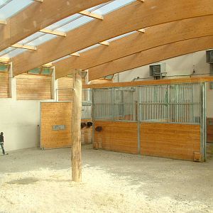 Giraffe House Interior at Opel-Zoo Kronberg, 30/08/10