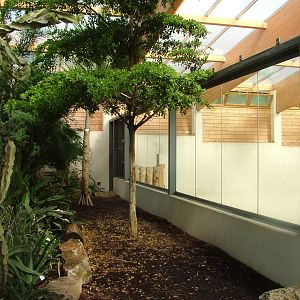 Giraffe House Viewing at Opel-Zoo Kronberg, 30/08/10