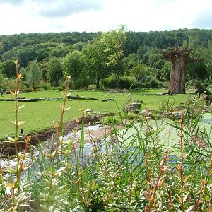 African Paddock at Opel-Zoo Kronberg, 30/08/10