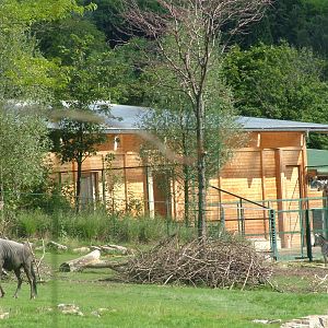 Giraffe House Exterior at Opel-Zoo Kronberg, 30/08/10