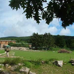 Giraffe House and African Paddock at Opel-Zoo Kronberg, 30/08/10