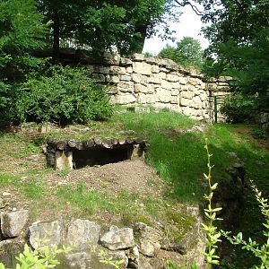 Brown Hyaena Exhibit at Opel-Zoo Kronberg, 30/08/10