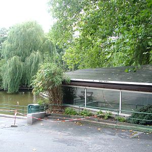 Gibbon House at Opel-Zoo Kronberg, 30/08/10