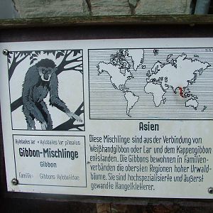 Signage Example at Opel-Zoo Kronberg, 30/08/10