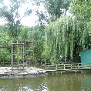 Gibbon Exhibit at Opel-Zoo Kronberg, 30/08/10