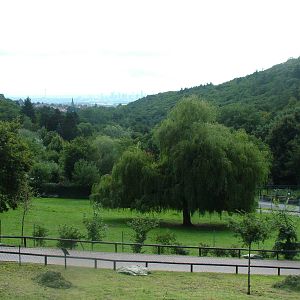 General View at Opel-Zoo Kronberg, 30/08/10