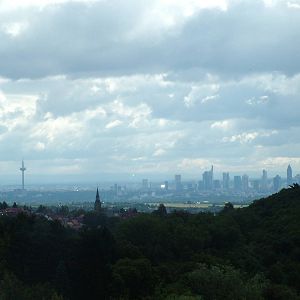 Long-distance View at Opel-Zoo Kronberg, 30/08/10