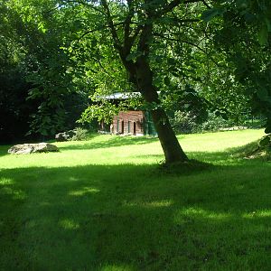 Cheetah Paddock at Opel-Zoo Kronberg, 30/08/10