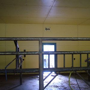 Elephant House Interior at Opel-Zoo Kronberg, 30/08/10