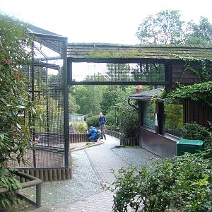 Monkey Exhibit at Opel-Zoo Kronberg, 30/08/10