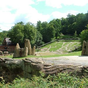 Elephant Paddock at Opel-Zoo Kronberg, 30/08/10