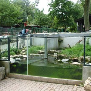 Reptiliary at Opel-Zoo Kronberg, 30/08/10