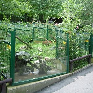 European Mink Exhibit at Opel-Zoo Kronberg, 30/08/10