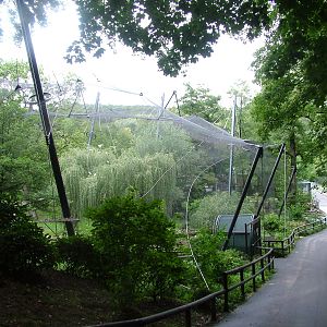 Walk-through Aviary at Opel-Zoo Kronberg, 30/08/10