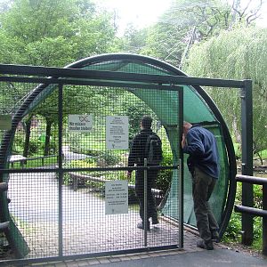 Walk-through Aviary at Opel-Zoo Kronberg, 30/08/10