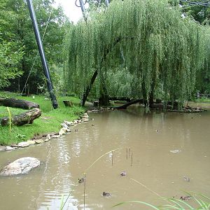 Walk-through Aviary at Opel-Zoo Kronberg, 30/08/10