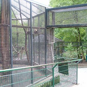 Exhibits at Opel-Zoo Kronberg, 30/08/10