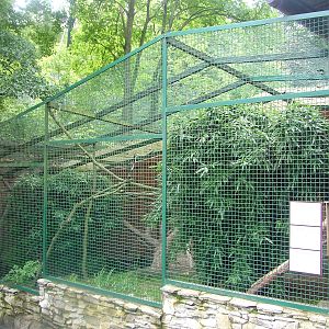 Cat Exhibit at Opel-Zoo Kronberg, 30/08/10