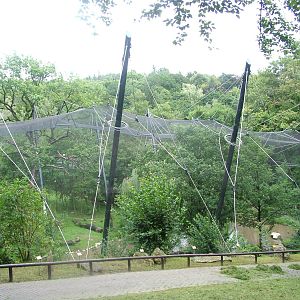 Walk-through Aviary at Opel-Zoo Kronberg, 30/08/10