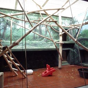 Rare Animal Conservation Center - Douc Langur Exhibit