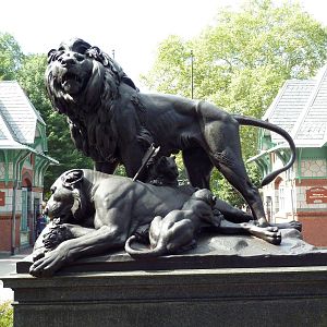 Lion Statue + Historic Entrance