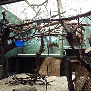 Rare Animal Conservation Center - Two-Toed Sloth/Goeldi's Monkey Exhibit