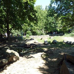 Tortoise Trail - Galapagos/Aldabra Tortoise Yard