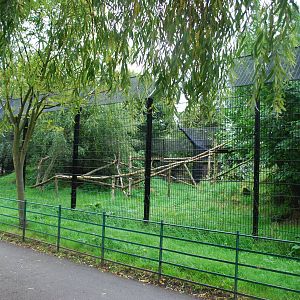 EUROPEAN LYNX ENCLOSURE
