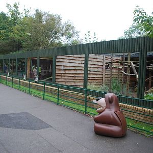 ENCLOSURES BY THE CAFE