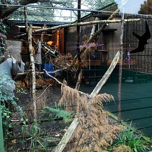 RED SQUIRREL ENCLOSURE