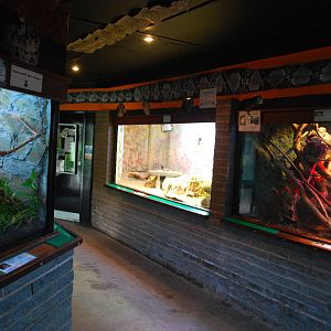 REPTILE HOUSE INSIDE
