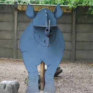RHINOCEROS MODEL