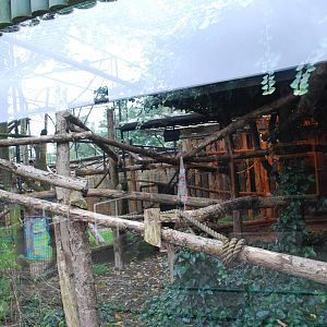RING TAILED LEMUR ENCLOSURE INSIDE