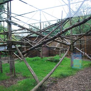 RING TAILED LEMUR ENCLOSURE OUTSIDE