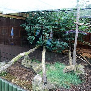SCOTTISH WILDCAT ENCLOSURE