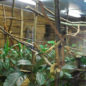 TAMARIN ENCLOSURE
