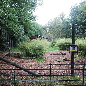 WHITE NAPPED CRANE ENCLOSURE