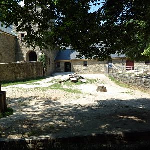 Indian Rhino Exhibit