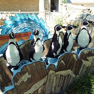 LEGO Display - Humboldt Penguins